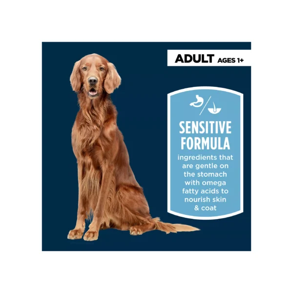 Authority® Sensitive Stomach & Skin Adult Dog Dry Food - Lamb & Rice - Image 2