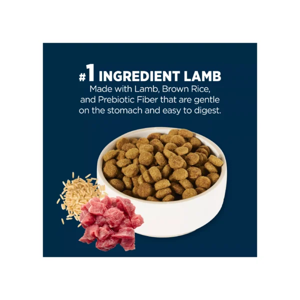 Authority® Sensitive Stomach & Skin Adult Dog Dry Food - Lamb & Rice - Image 3