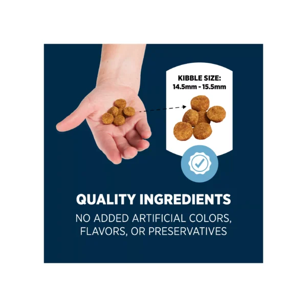 Authority® Sensitive Stomach & Skin Adult Dog Dry Food - Lamb & Rice - Image 4